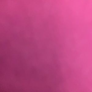 Meet your Posher, Clara